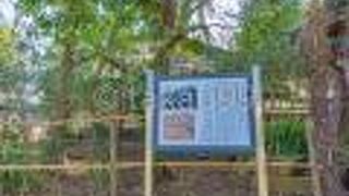 木が邪魔していて写真が撮りにくいです。