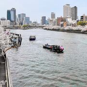 桜の時期がお勧め