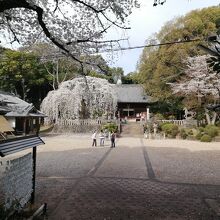 土呂八幡宮