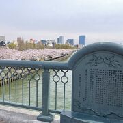 大川沿いの桜並木