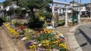 地元の方が綺麗なお花を植えてカラフルな装いです。