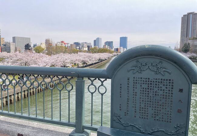 大川沿いの桜並木