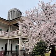 桜に彩られた洋館