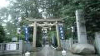 池の先にある厳島神社が良い雰囲気