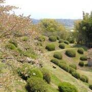 幅広い年齢層が楽しめる公園