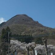 森林公園側から