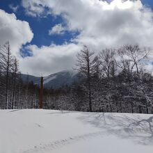 白樺高原