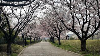 宇喜田公園