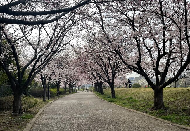 宇喜田公園