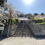 桜が見事でした