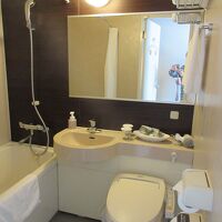 ビジネスホテルだからこんなもんだね