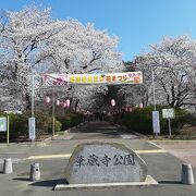 伊勢崎市街地にも近い桜の名所