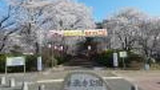 伊勢崎市街地にも近い桜の名所