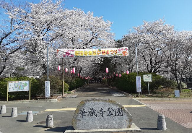 華蔵寺公園