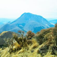 鶴見岳から