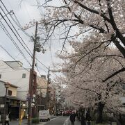 江戸時代は材木屋や問屋が建ち並び、現在は桜並木が創られています
