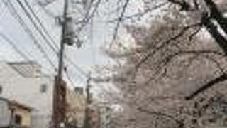 江戸時代は材木屋や問屋が建ち並び、現在は桜並木が創られています