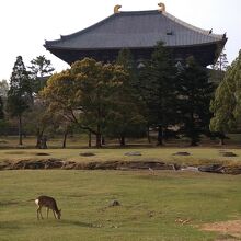 東大寺