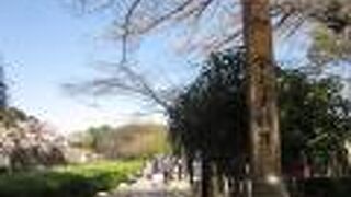 飲食店がたくさん