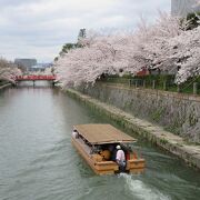 桜の季節は十石舟が運行されます