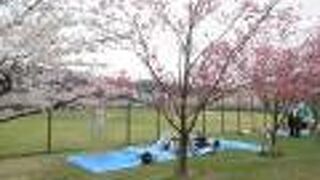 スポーツ施設と文化施設が集まっています