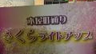 さくらライトアップ