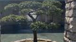 何回訪れても素晴らしい。