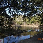 荒池の源は春日山の率川で、この川をせきとめて築堤したそうです。