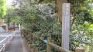 急な坂で道幅もそんなに広くはありません