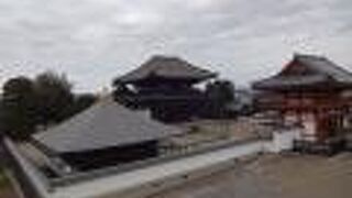 喜光寺は敷地が広く、歴史がありそうなお寺でした。