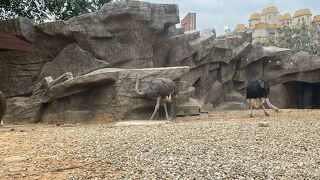 新竹市立動物園