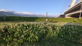 社子島島頭公園
