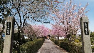 源空院