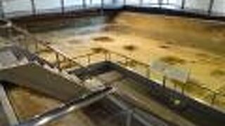 発掘した遺構をそのまま見ることができます。