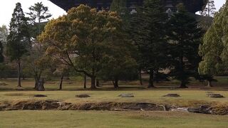 早朝に迎えてくれた神の使い