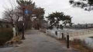 宇治川沿いの美しい通りです。