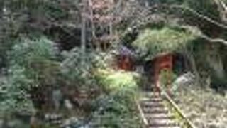 愛染堂が美しい庭