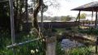 お花の時期はとてもきれいなお寺なんだと思います。