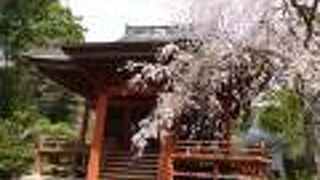 印西市でも指折りの古刹