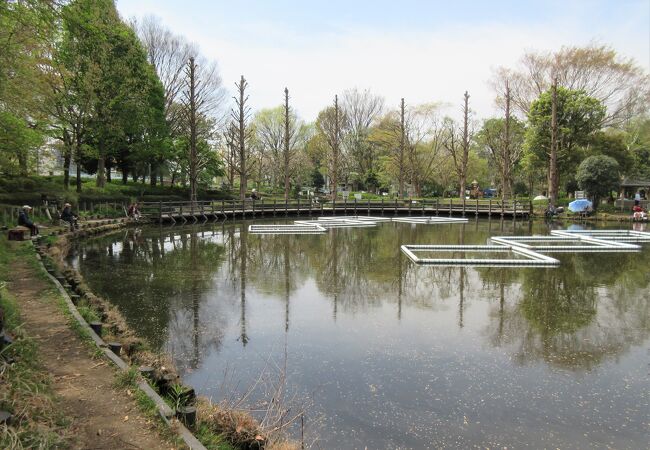 川口自然公園 クチコミ アクセス 営業時間 川口 戸田 蕨 フォートラベル