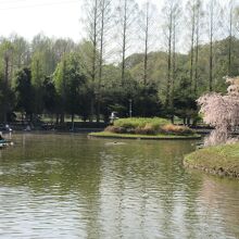 さぎ山記念公園 