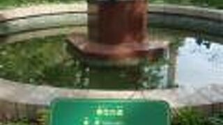 エゾフクロウ、エゾシカ、ハシブトカラス、エゾウサギが意味するものは？