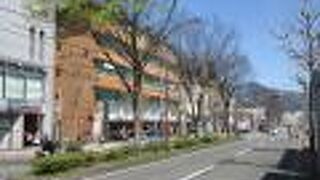 府立植物園の前を通る道路です