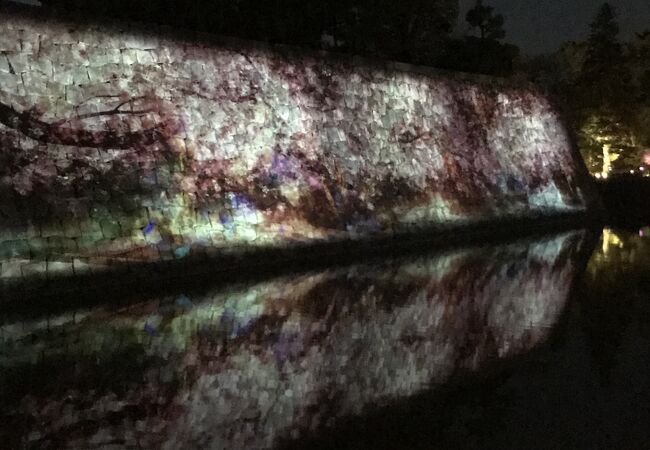 二条城ライトアップ クチコミ アクセス 営業時間 二条 烏丸 河原町 フォートラベル