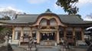 天然記念物の蘇鉄が見ごたえがありました。