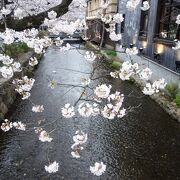 高瀬川沿いの夜桜を見ながら，ほろ酔い気分で，そぞろあるくべきところです。