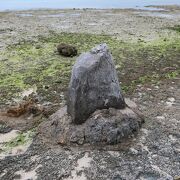 砂浜の石です