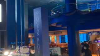 美ら海水族館の中