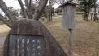 雰囲気の良い公園です