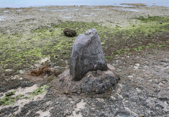 砂浜の石です